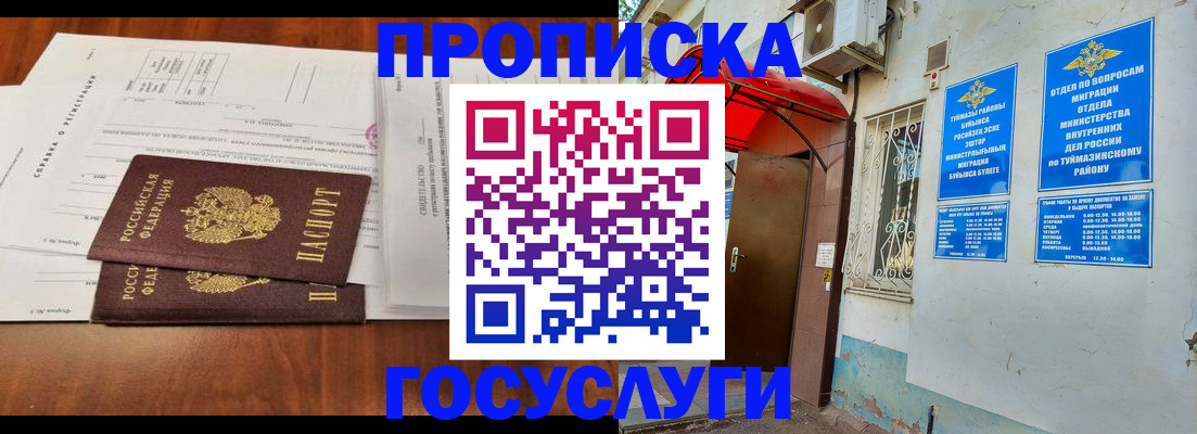 прописка в квартире в Кольчугино